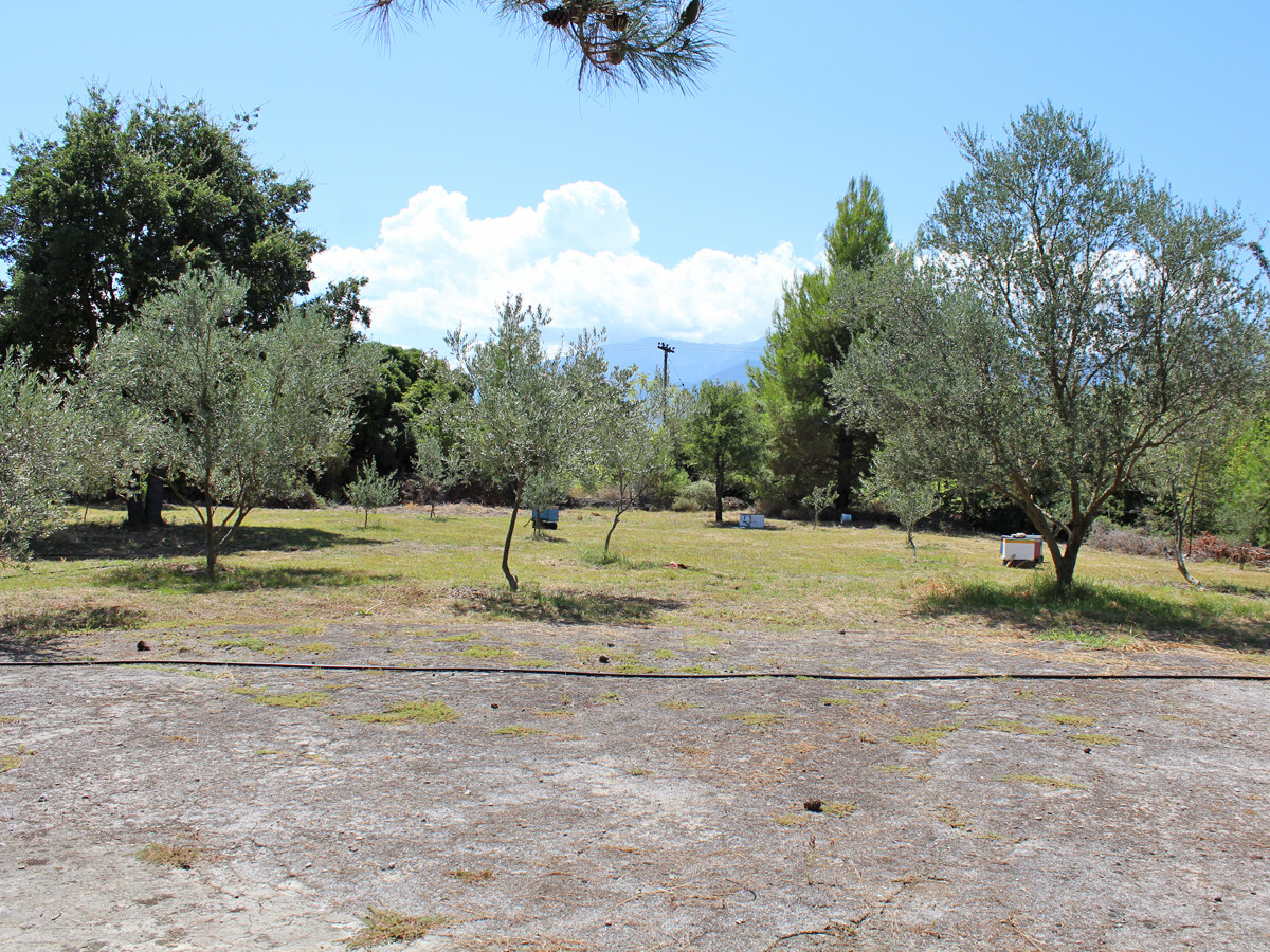 Land in Litochoro, Pieria Prefecture, Greece – 50929