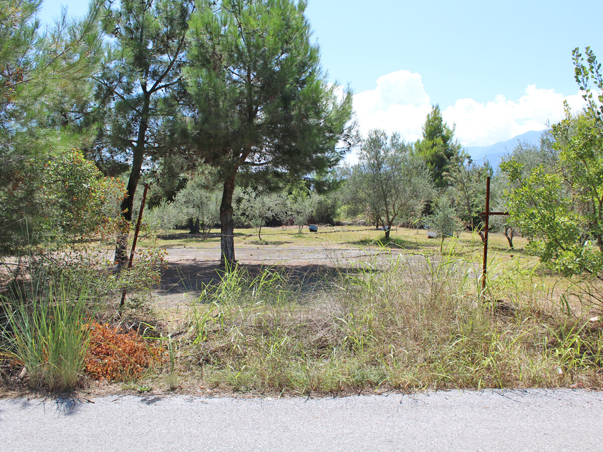 Land in Litochoro, Pieria Prefecture, Greece – 50929