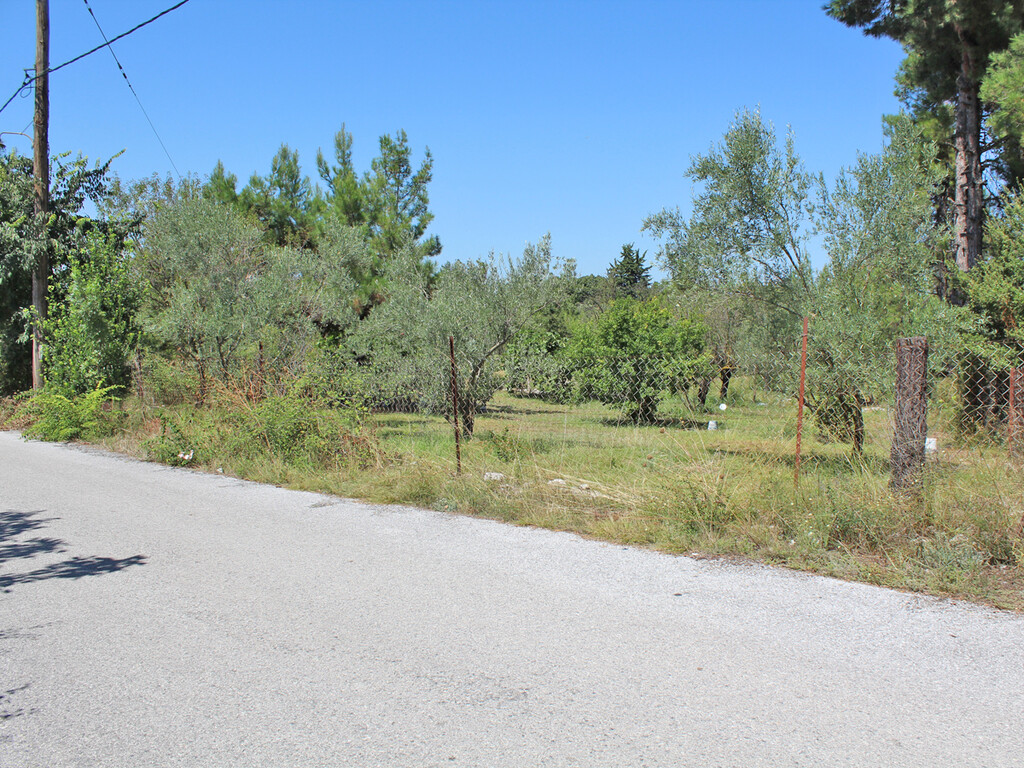 Land in Litochoro, Pieria Prefecture, Greece – 50928