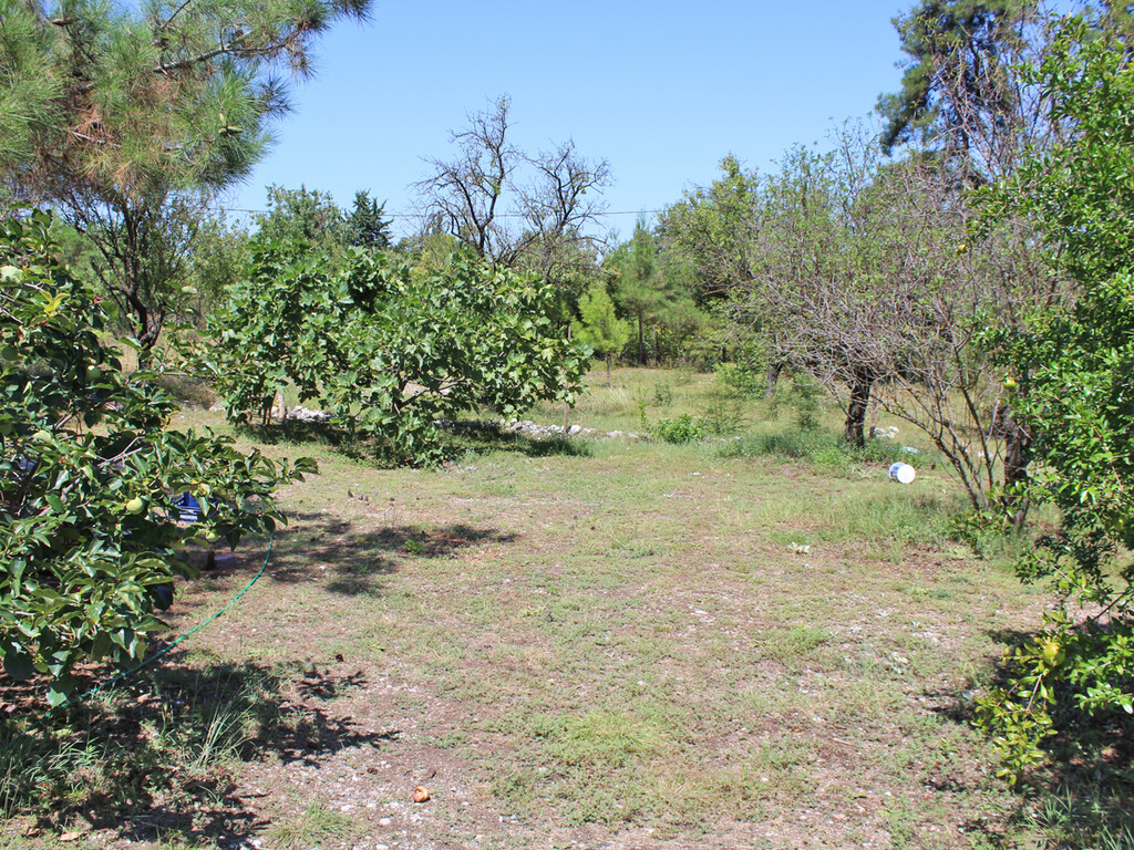 Land in Litochoro, Pieria Prefecture, Greece – 50928