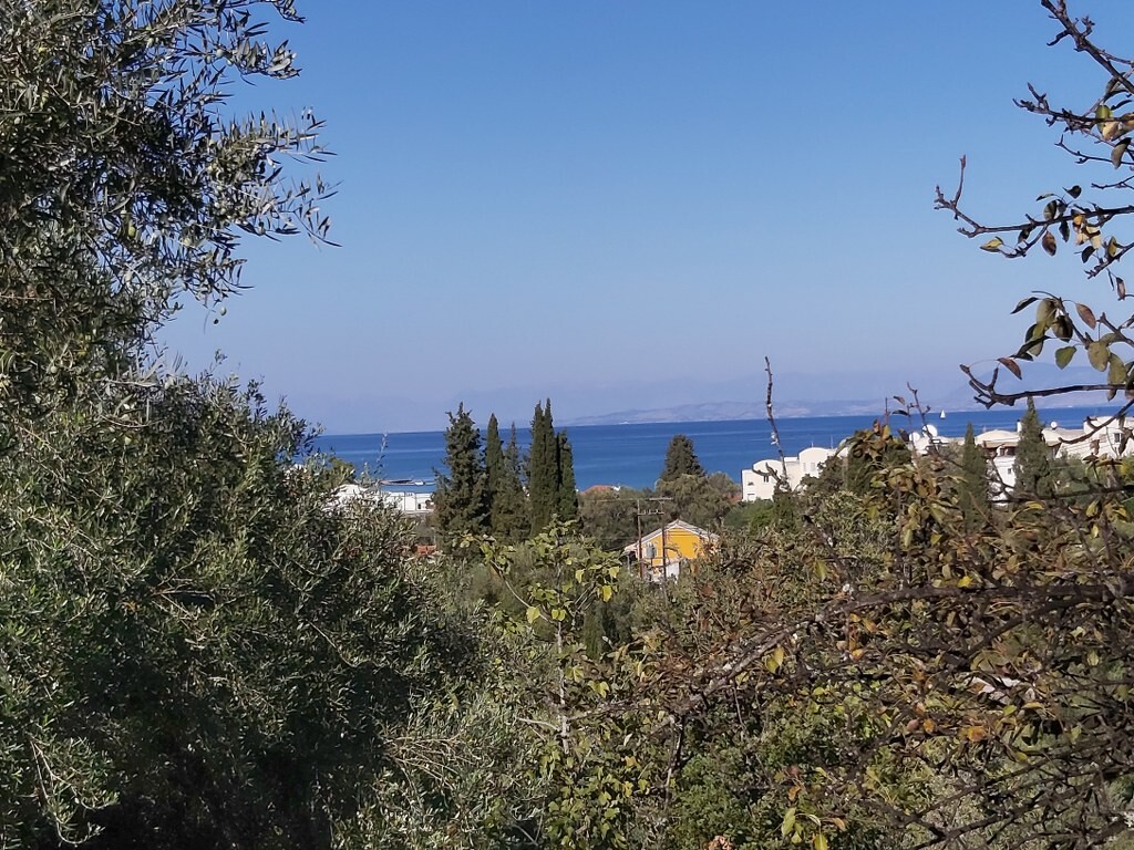 Land in Corfu, Corfu Prefecture, Greece – 50915