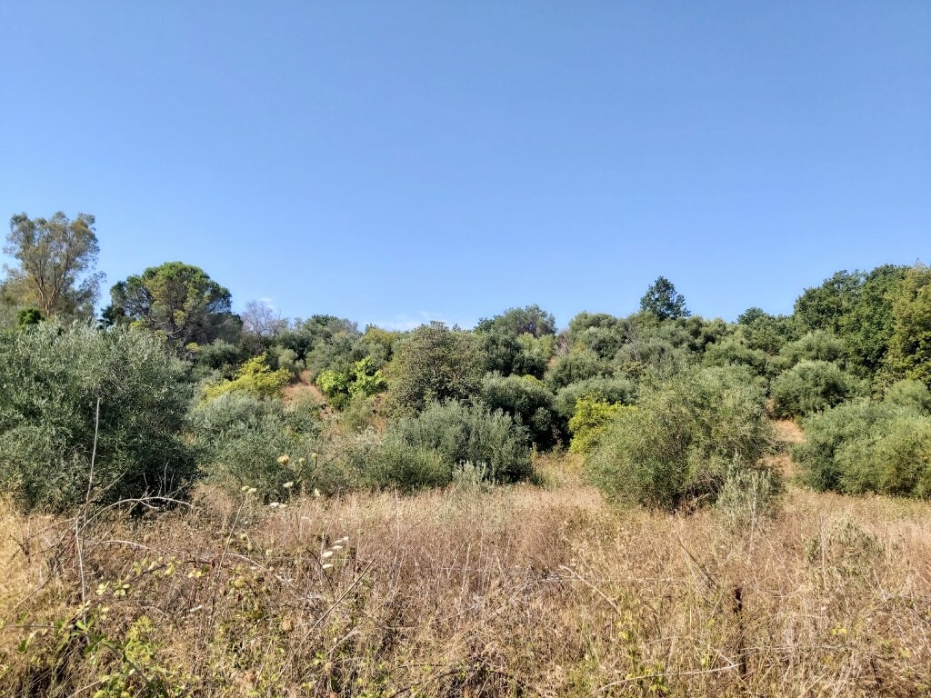 Land in Corfu, Corfu Prefecture, Greece – 50915