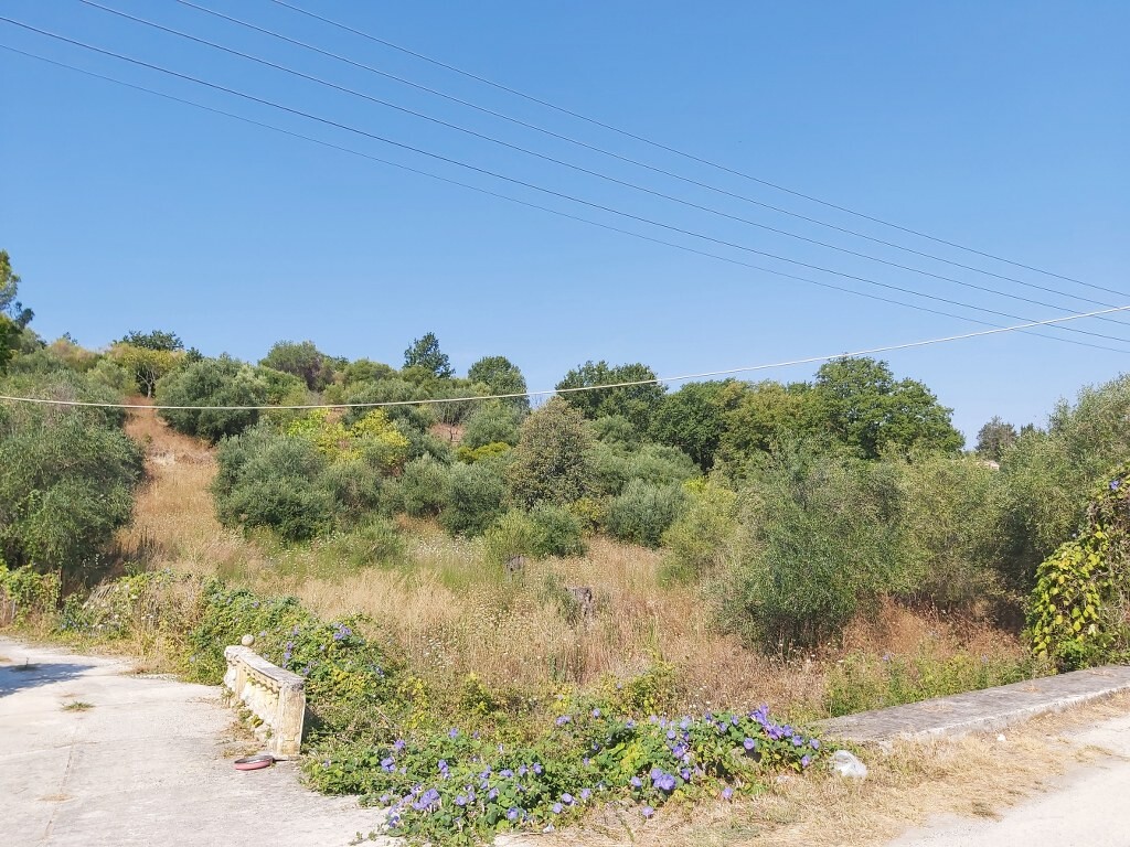 Land in Corfu, Corfu Prefecture, Greece – 50915
