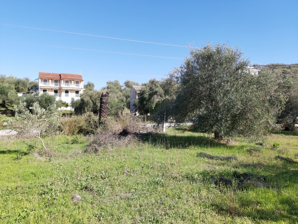 Land in Corfu, Corfu Prefecture, Greece – 50915