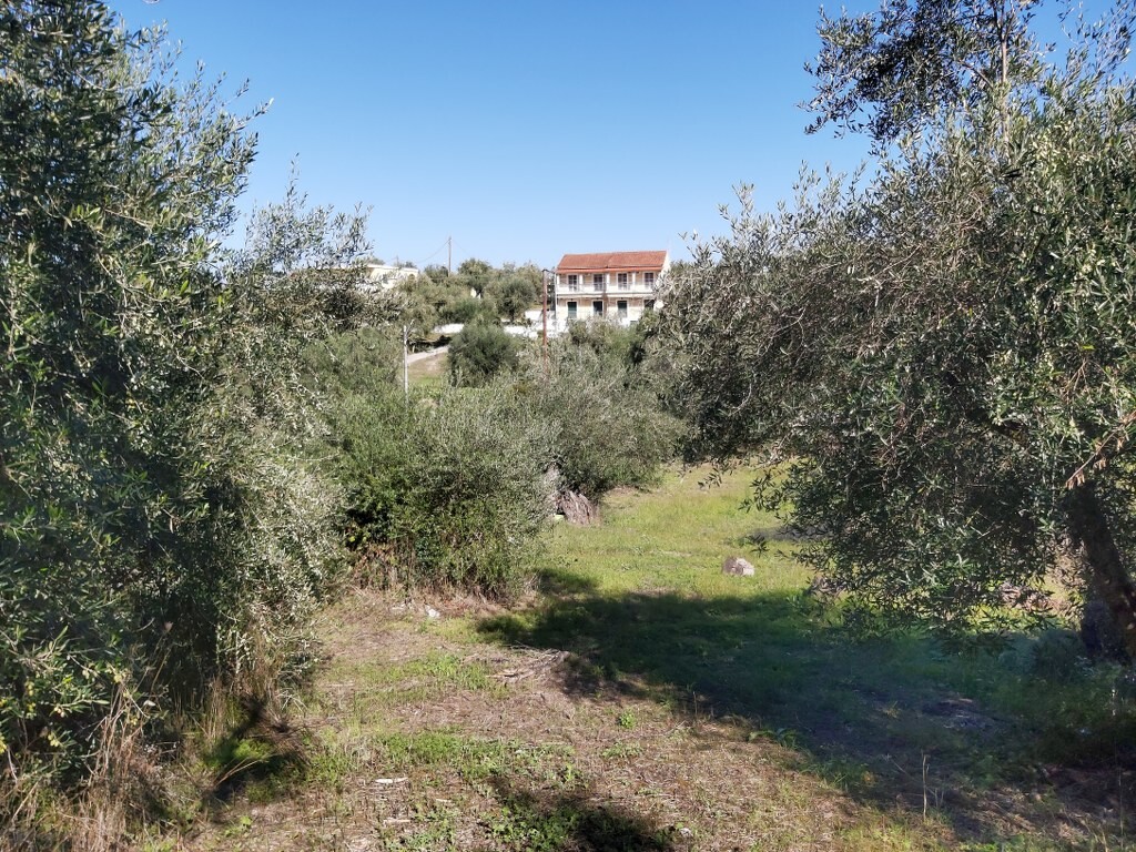 Land in Corfu, Corfu Prefecture, Greece – 50915