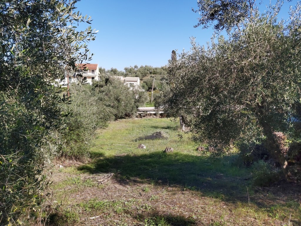 Land in Corfu, Corfu Prefecture, Greece – 50915