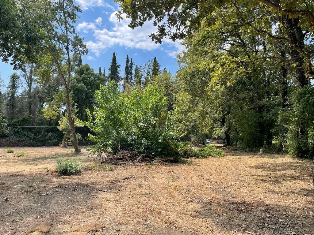 Land in Corfu, Corfu Prefecture, Greece – 50887