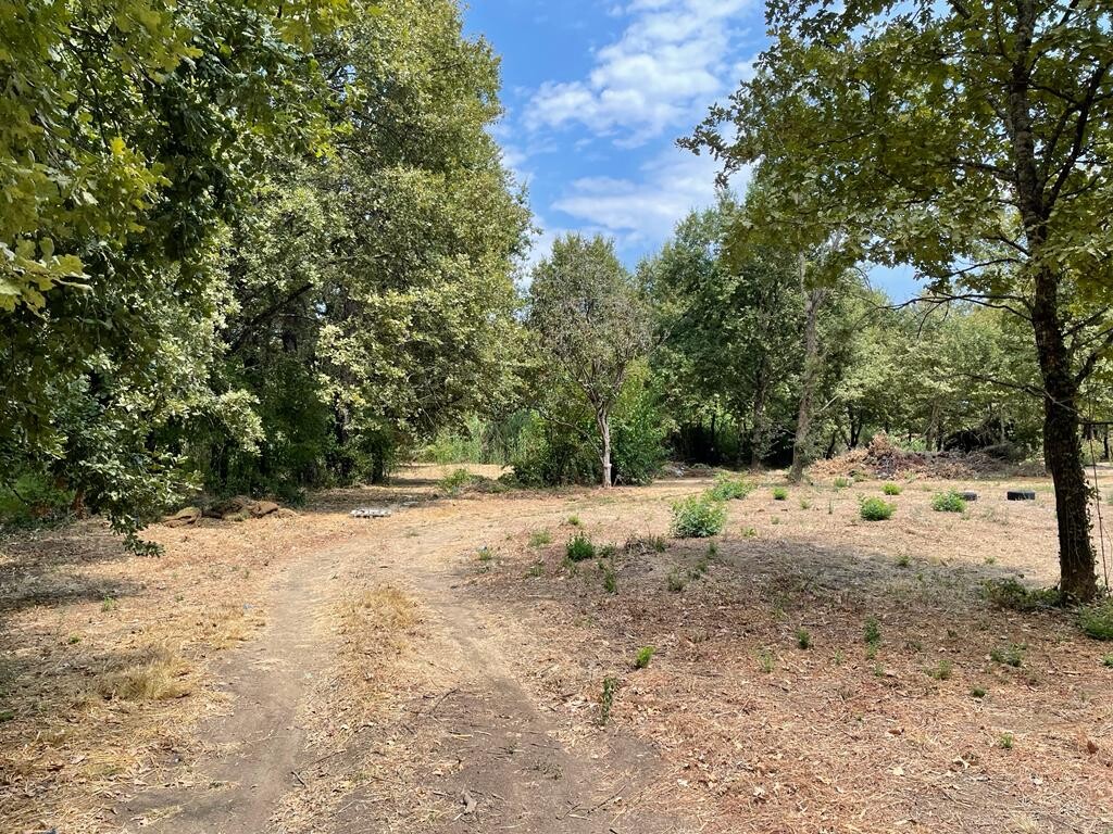 Land in Corfu, Corfu Prefecture, Greece – 50887