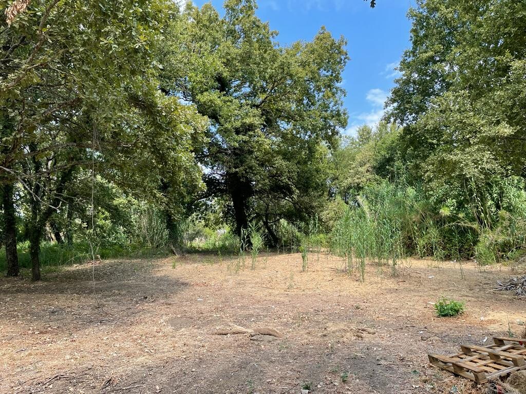 Land in Corfu, Corfu Prefecture, Greece – 50887