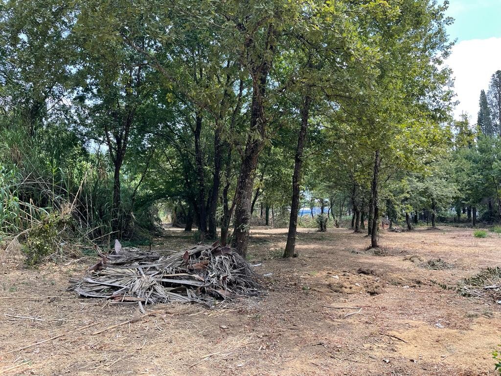 Land in Corfu, Corfu Prefecture, Greece – 50887