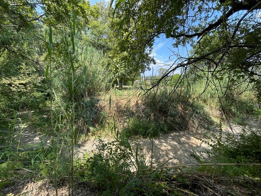 Land in Corfu, Corfu Prefecture, Greece – 50887