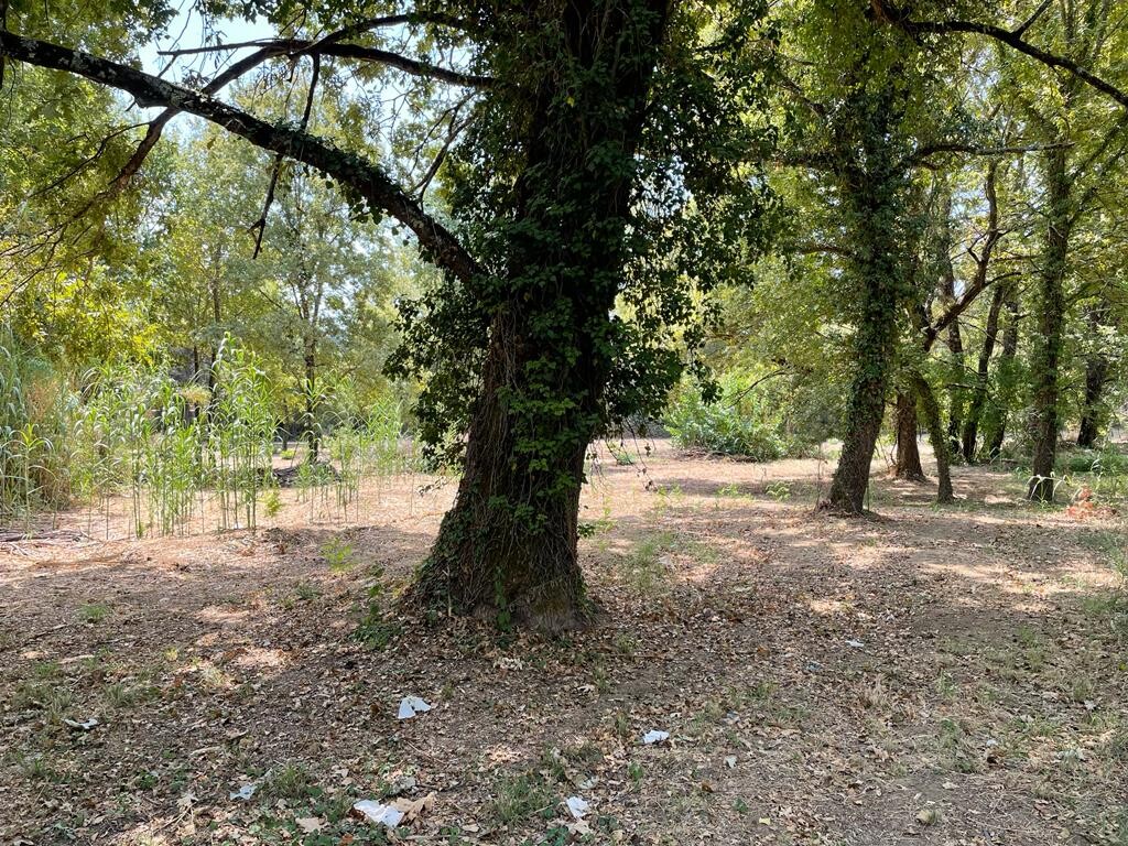 Land in Corfu, Corfu Prefecture, Greece – 50887