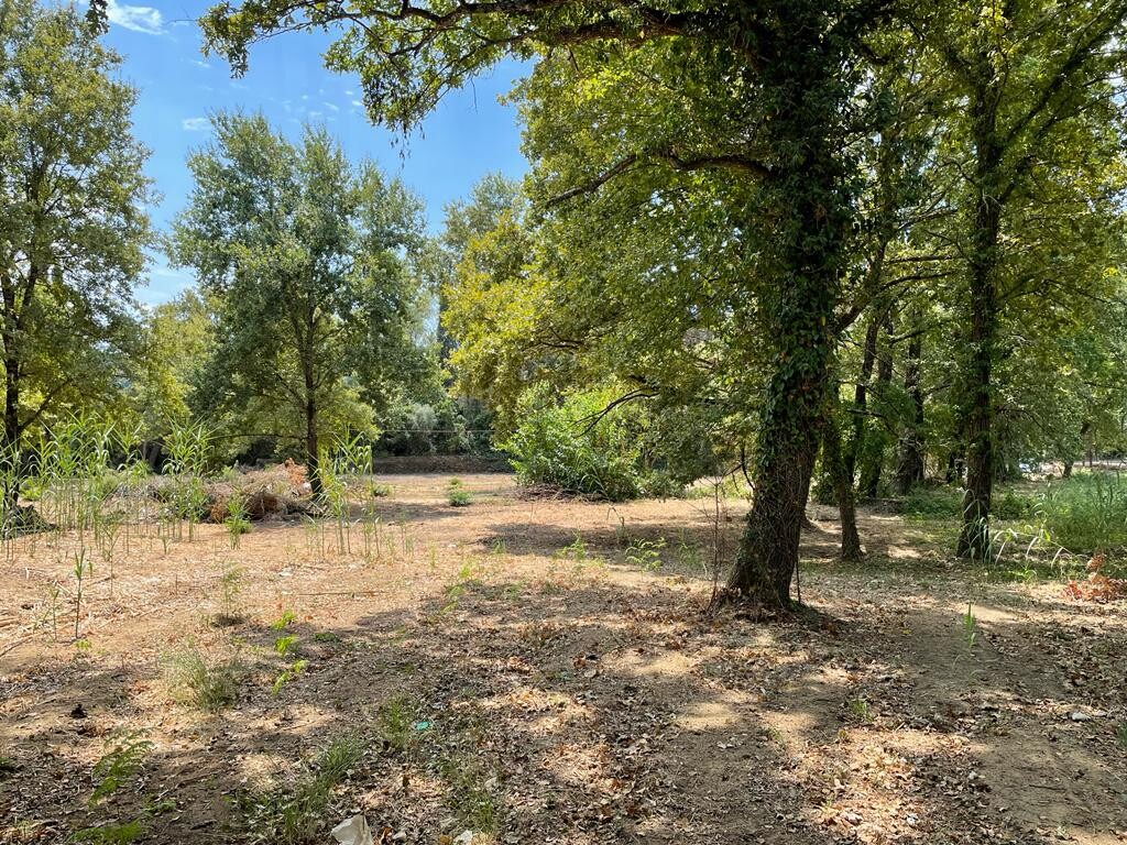 Land in Corfu, Corfu Prefecture, Greece – 50887