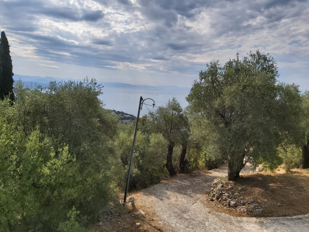 Land in Corfu, Corfu Prefecture, Greece – 50867