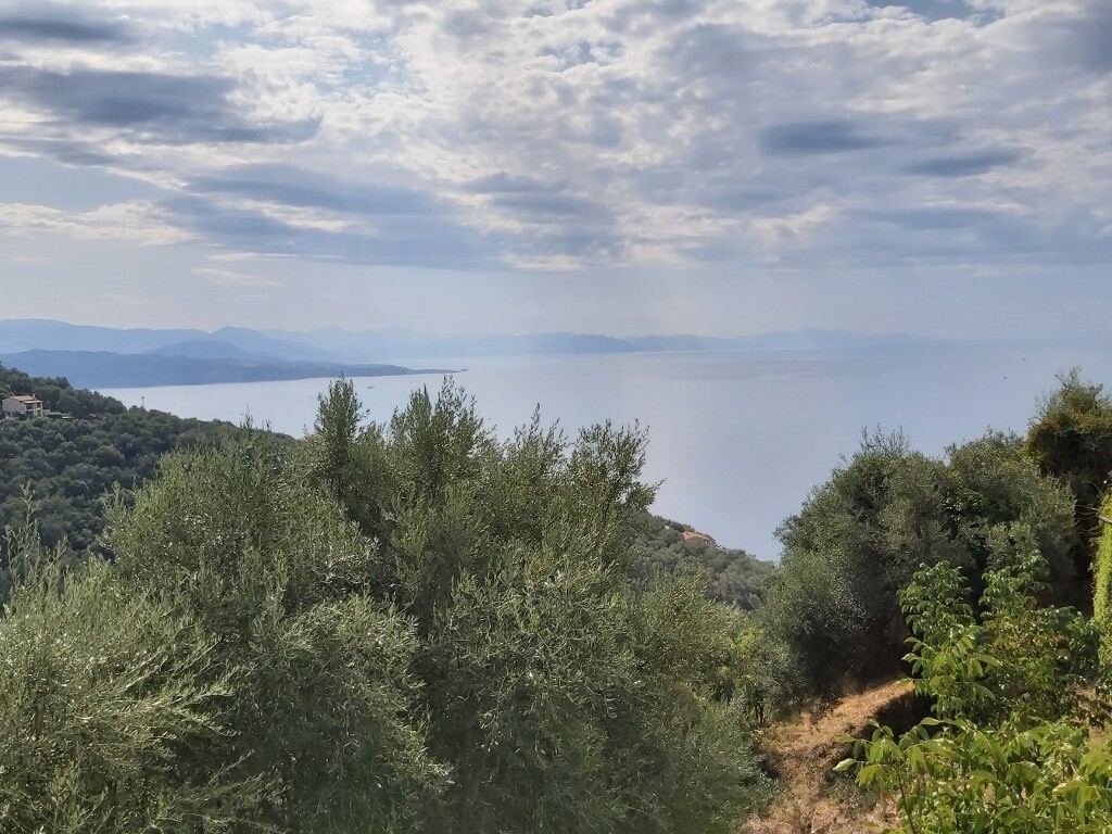Land in Corfu, Corfu Prefecture, Greece – 50867