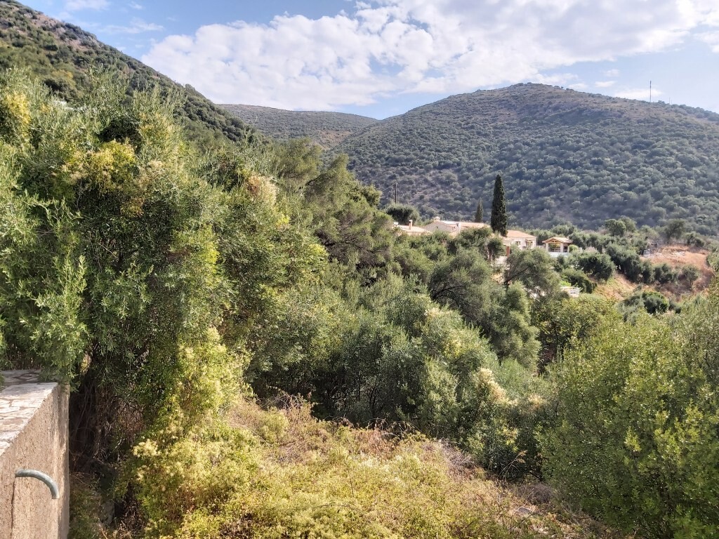 Land in Corfu, Corfu Prefecture, Greece – 50867