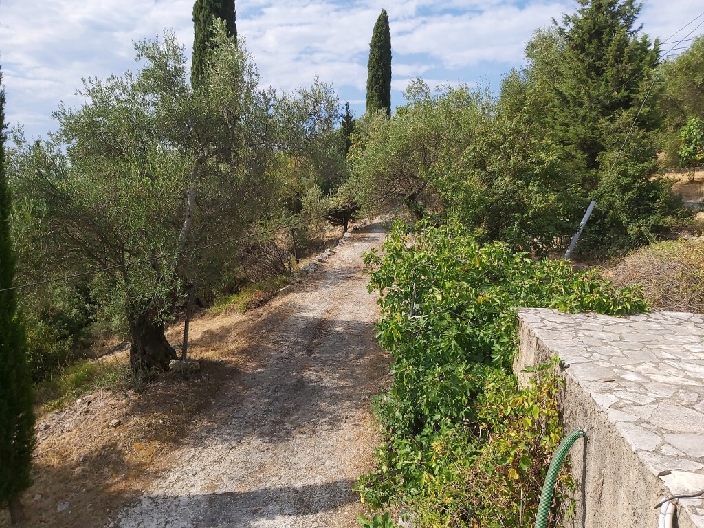 Land in Corfu, Corfu Prefecture, Greece – 50867