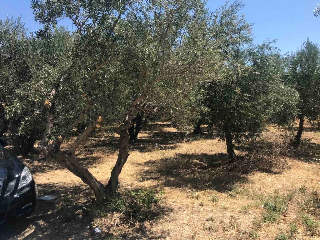 Land in Gouves, Heraklion Prefecture, Greece – 50827