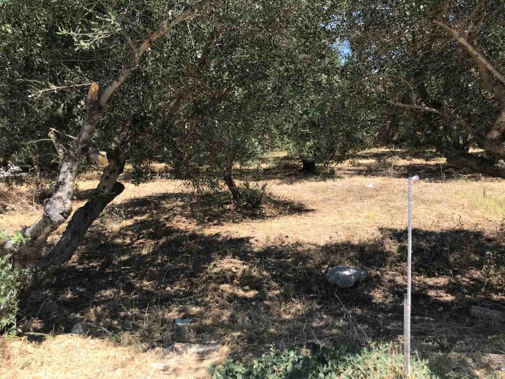 Land in Gouves, Heraklion Prefecture, Greece – 50827