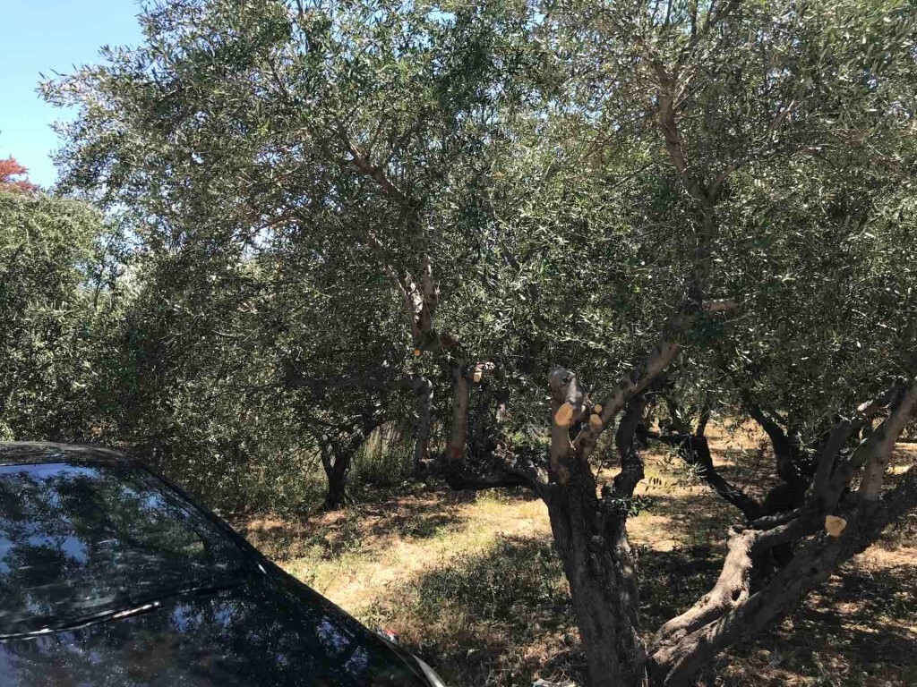Land in Gouves, Heraklion Prefecture, Greece – 50827