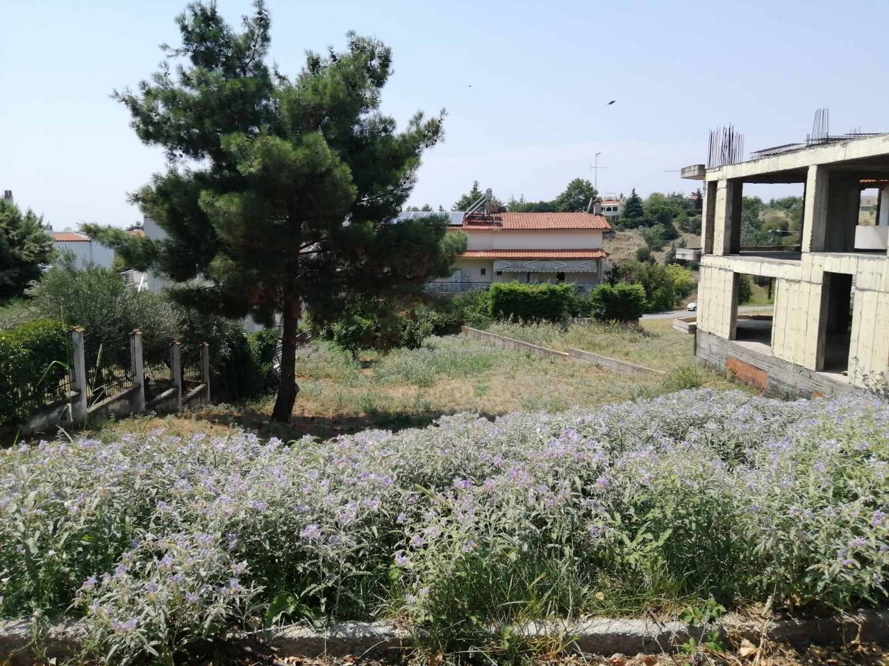 Land in Panorama, Thessaloniki – Suburbs, Greece – 50818