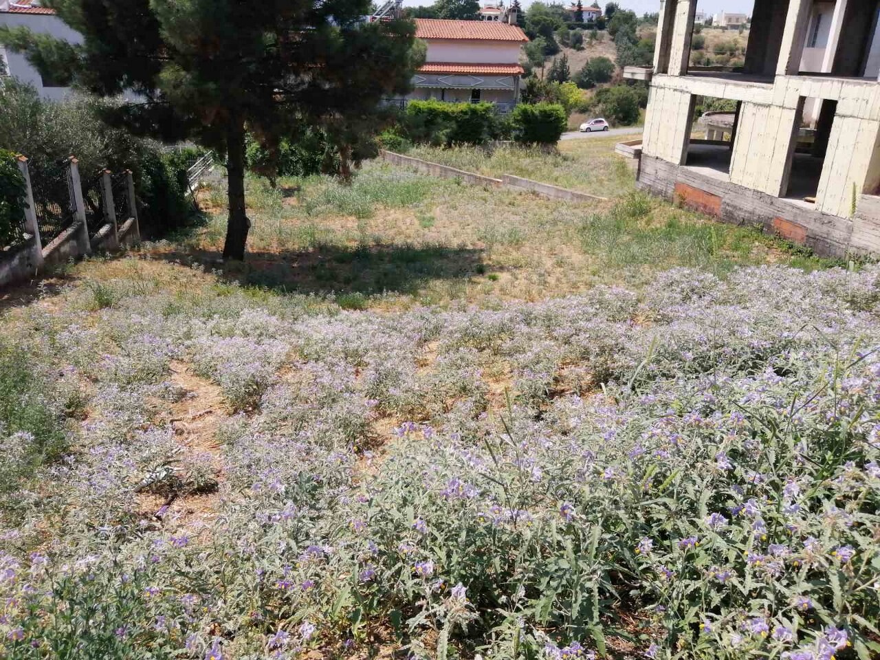 Land in Panorama, Thessaloniki – Suburbs, Greece – 50818
