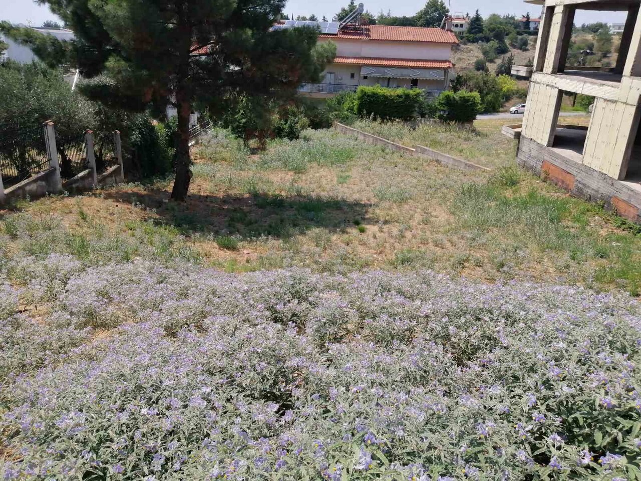 Land in Panorama, Thessaloniki – Suburbs, Greece – 50818
