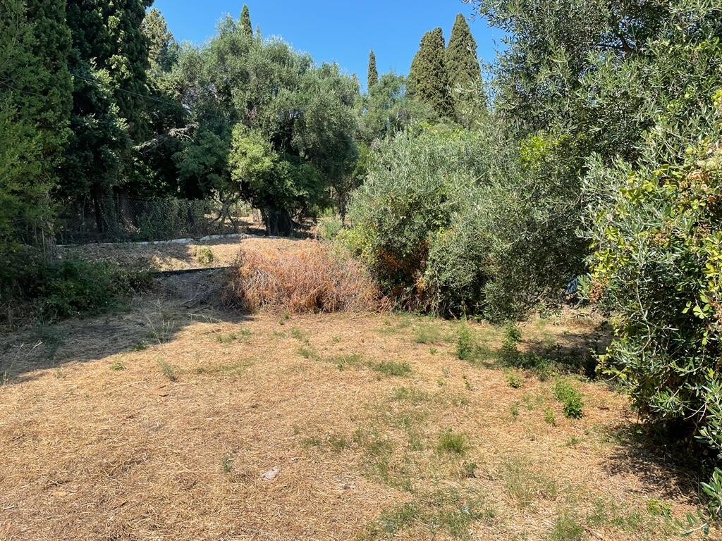 Land in Corfu, Corfu Prefecture, Greece – 50812