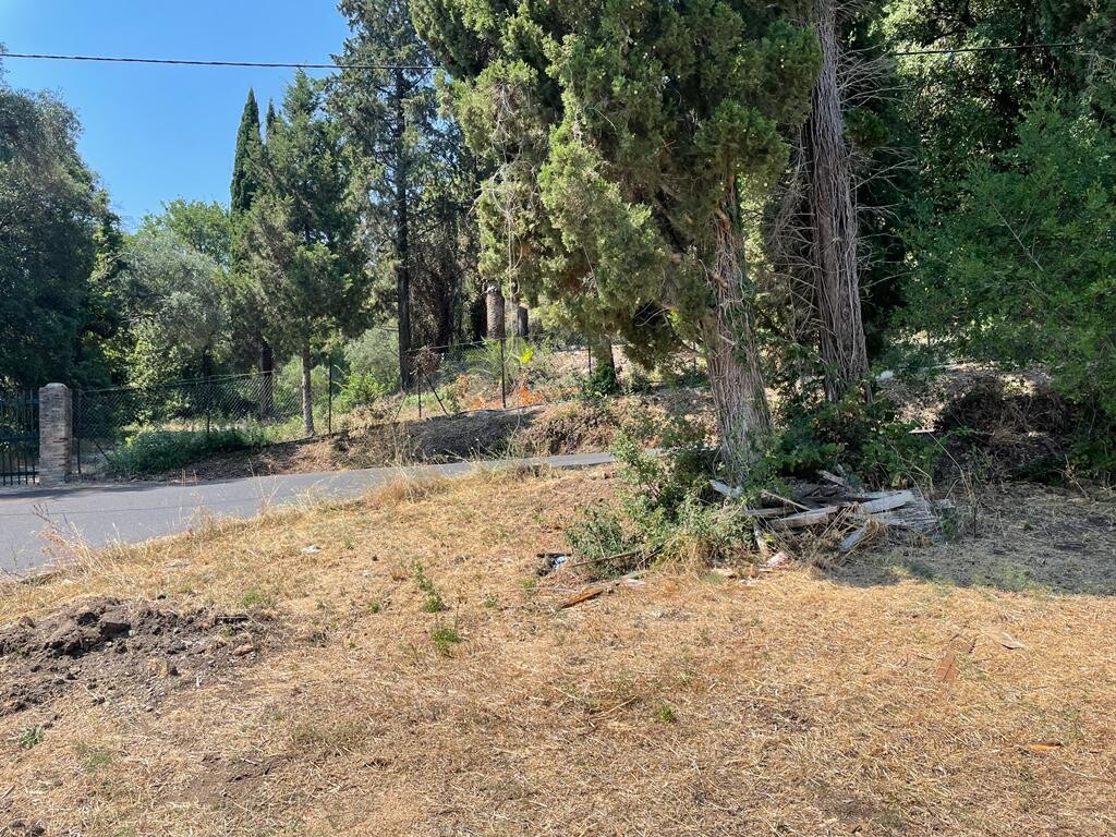 Land in Corfu, Corfu Prefecture, Greece – 50812