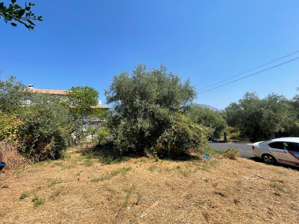 Land in Corfu, Corfu Prefecture, Greece – 50812