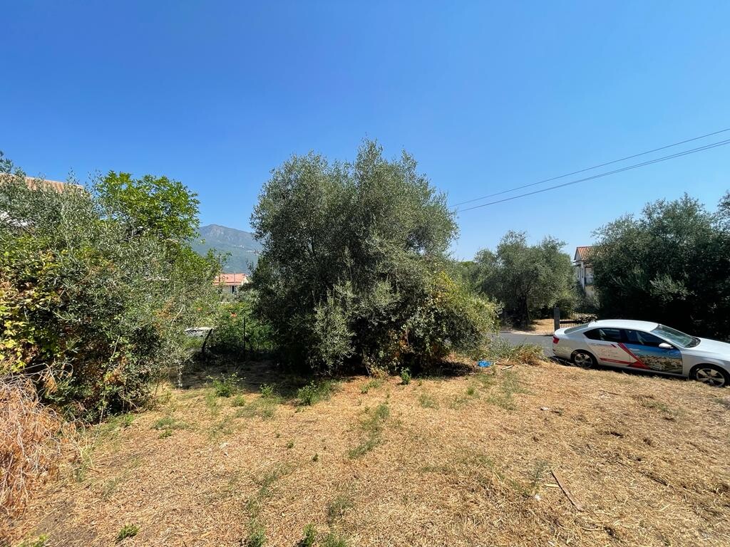 Land in Corfu, Corfu Prefecture, Greece – 50812