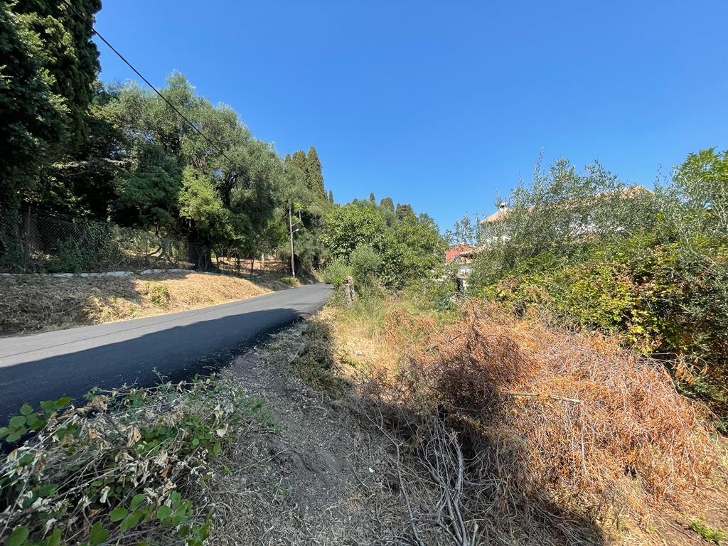 Land in Corfu, Corfu Prefecture, Greece – 50812