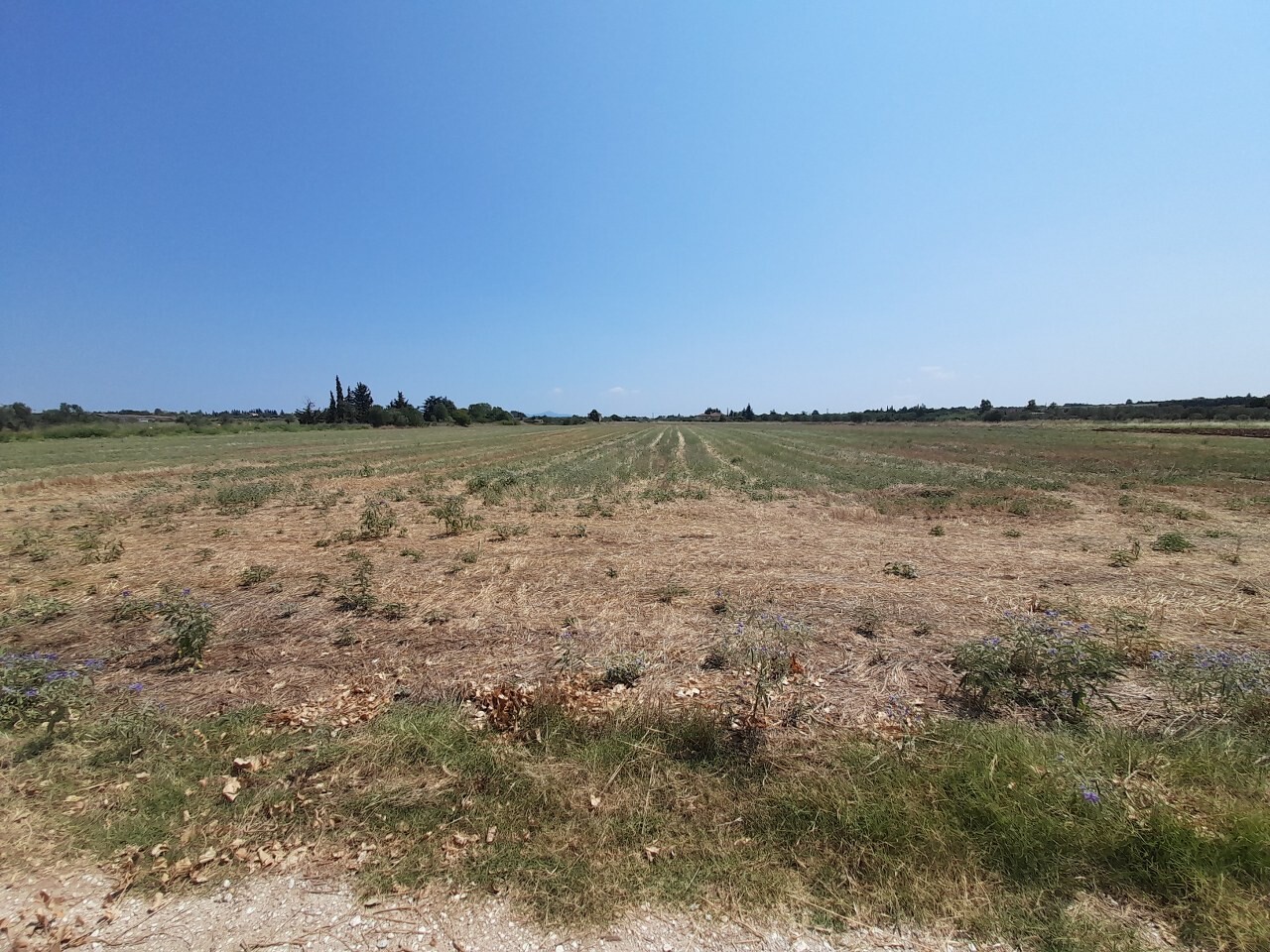 Land in Thermaikos, Thessaloniki – Suburbs, Greece – 50811