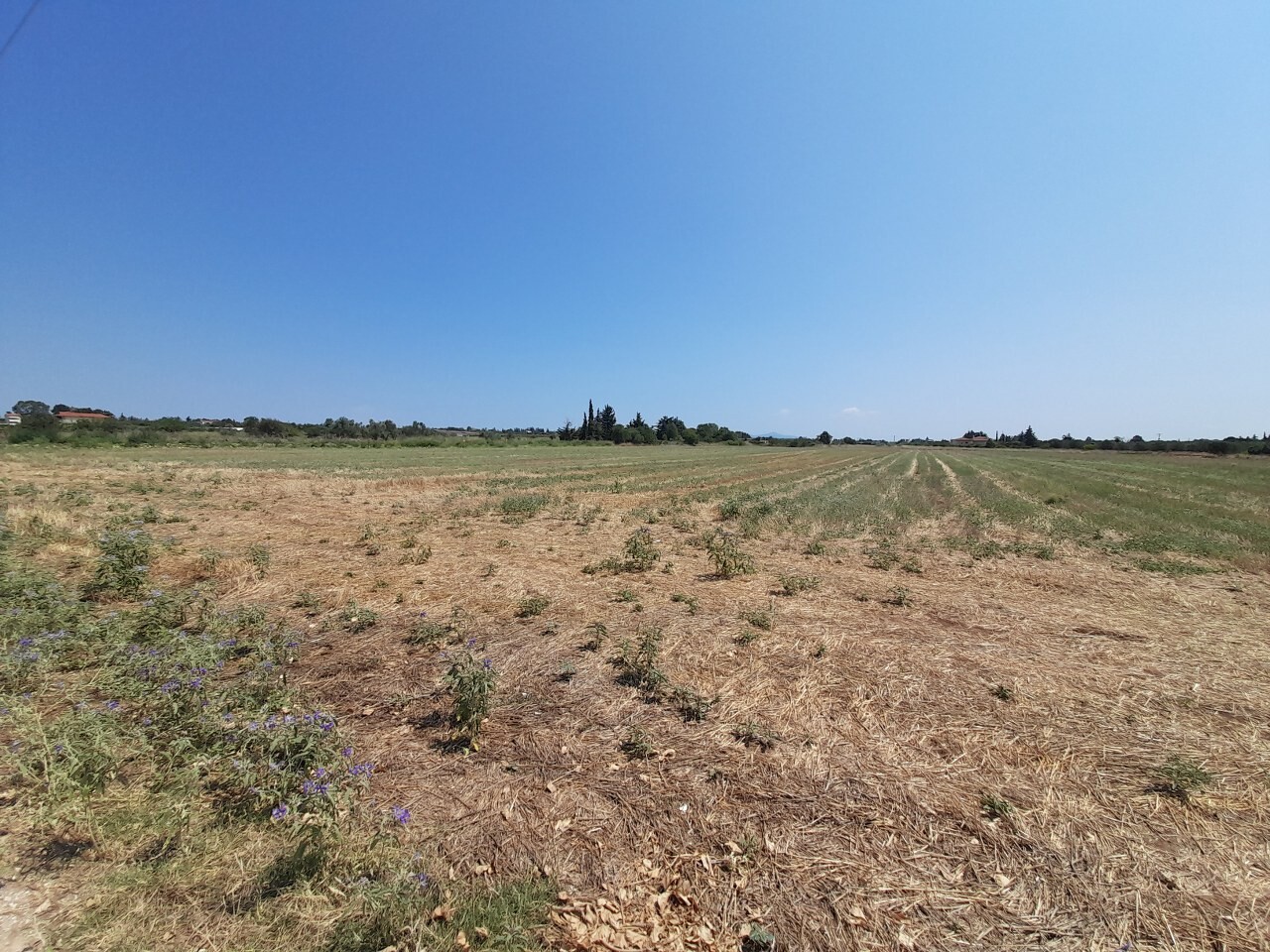 Land in Thermaikos, Thessaloniki – Suburbs, Greece – 50811