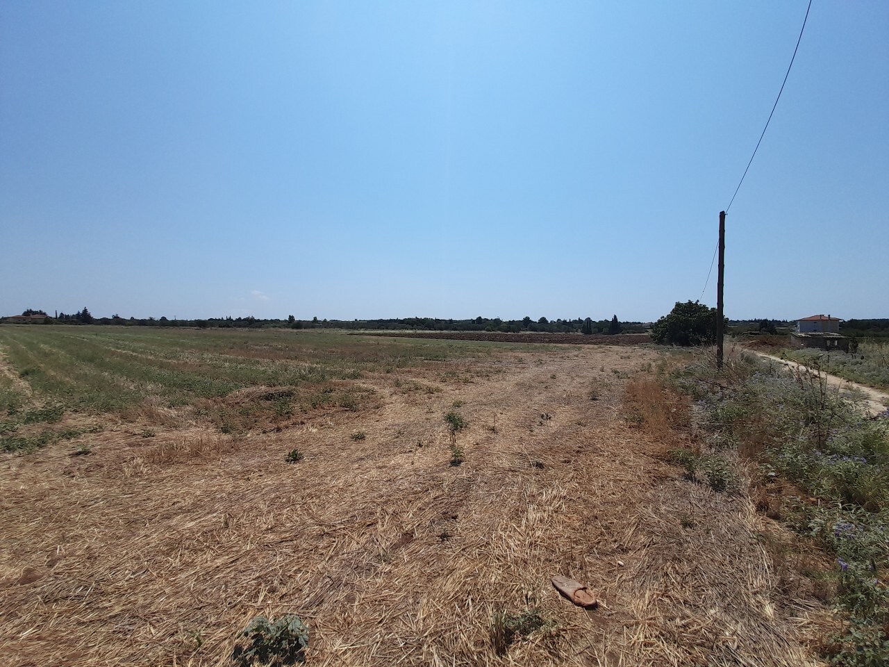 Land in Thermaikos, Thessaloniki – Suburbs, Greece – 50811