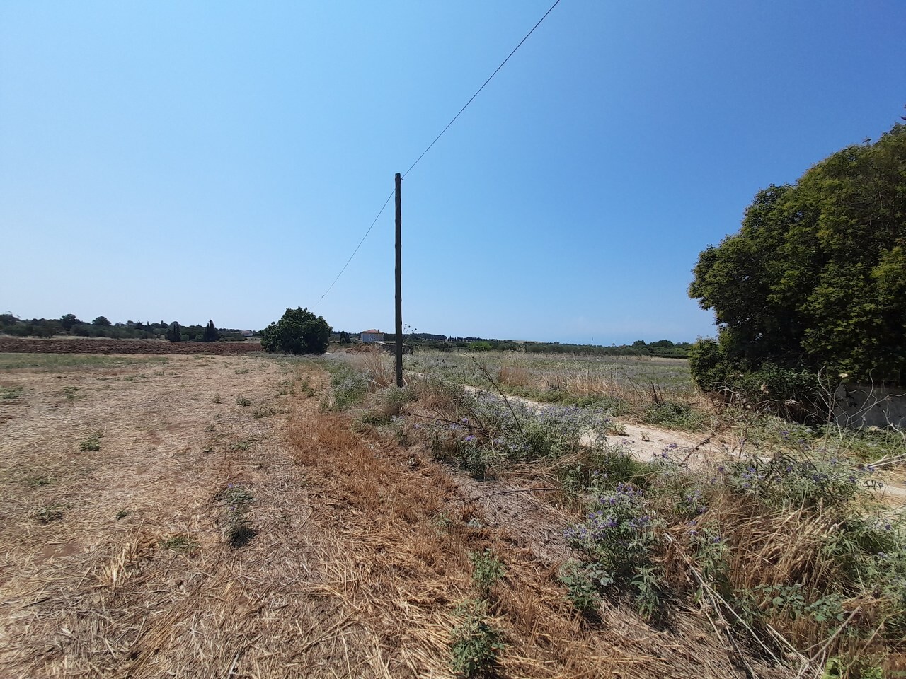 Land in Thermaikos, Thessaloniki – Suburbs, Greece – 50811