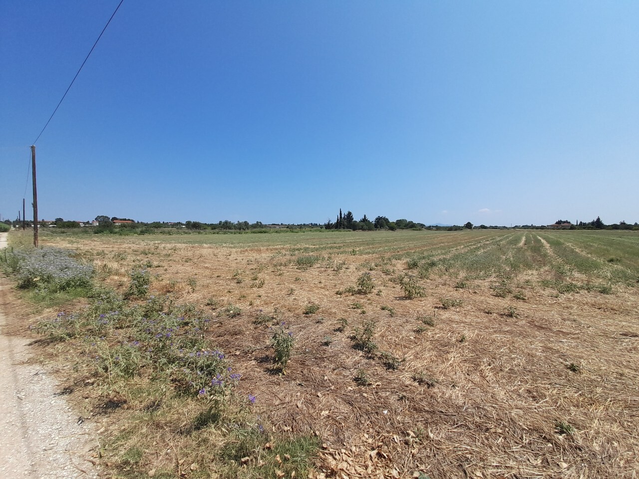 Land in Thermaikos, Thessaloniki – Suburbs, Greece – 50811