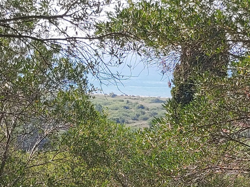 Land in Corfu, Corfu Prefecture, Greece – 50750
