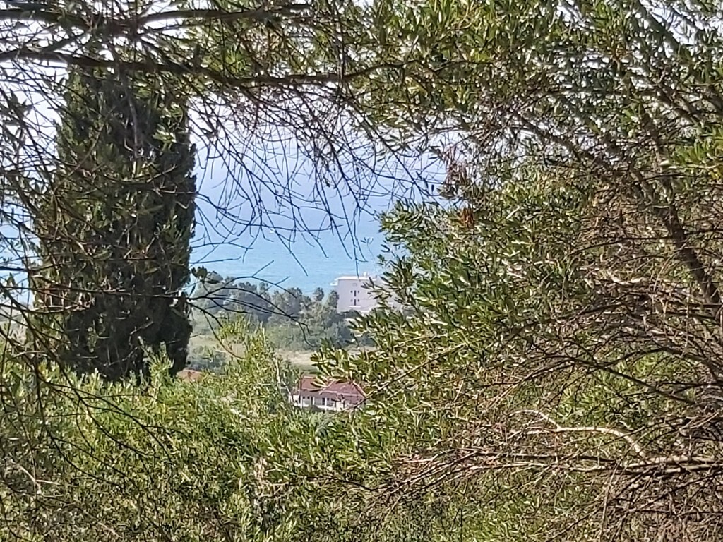 Land in Corfu, Corfu Prefecture, Greece – 50750