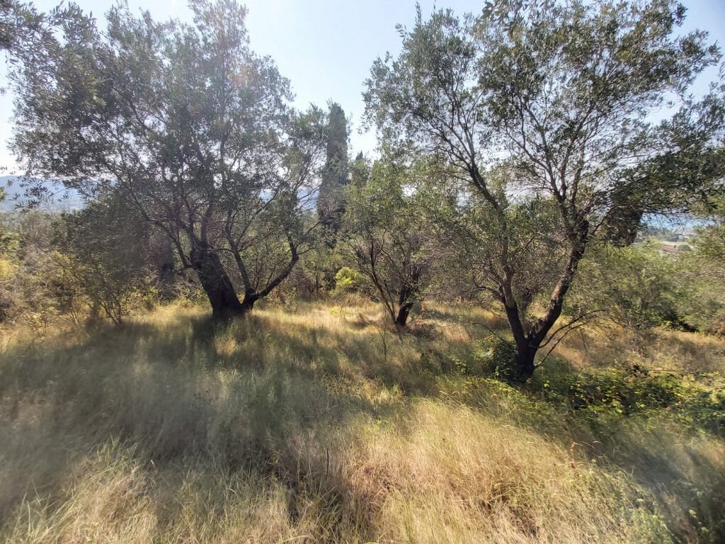 Land in Corfu, Corfu Prefecture, Greece – 50750