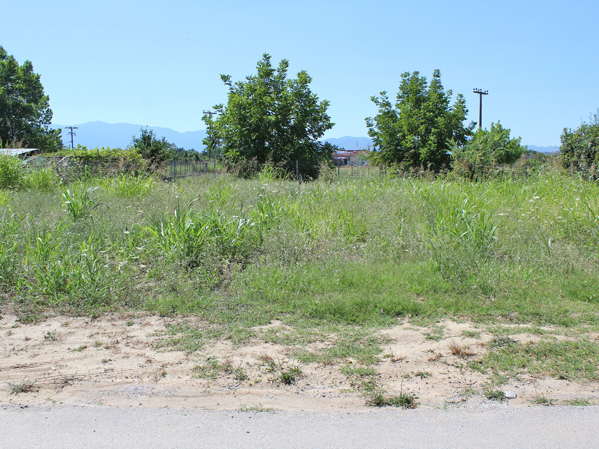 Land in Olympic Coast, Pieria Prefecture, Greece – 50684