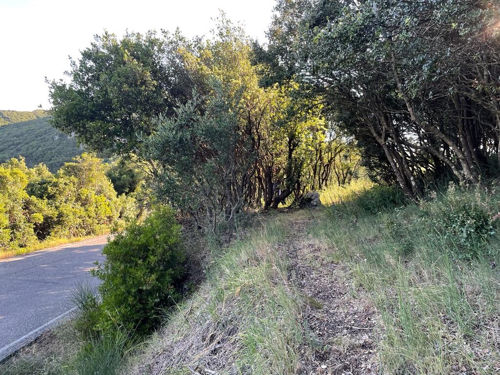 Land in Corfu, Corfu Prefecture, Greece – 50678