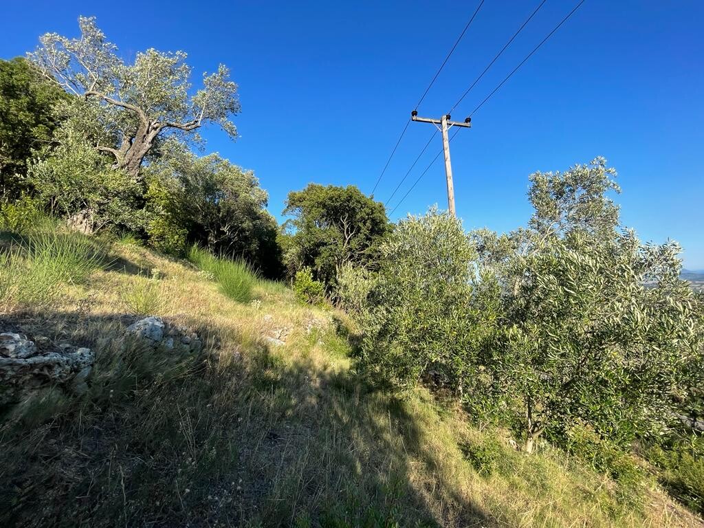 Land in Corfu, Corfu Prefecture, Greece – 50678