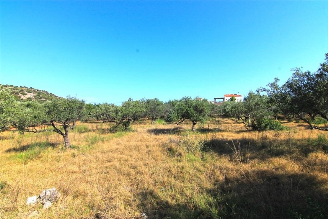 Land in Agios Nikolaos, Lasithi Prefecture, Greece – 50674