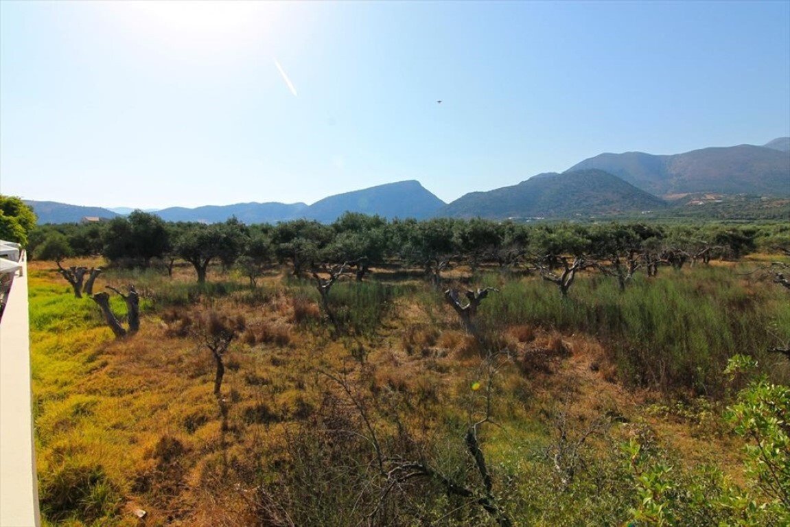 Land in Agios Nikolaos, Lasithi Prefecture, Greece – 50674