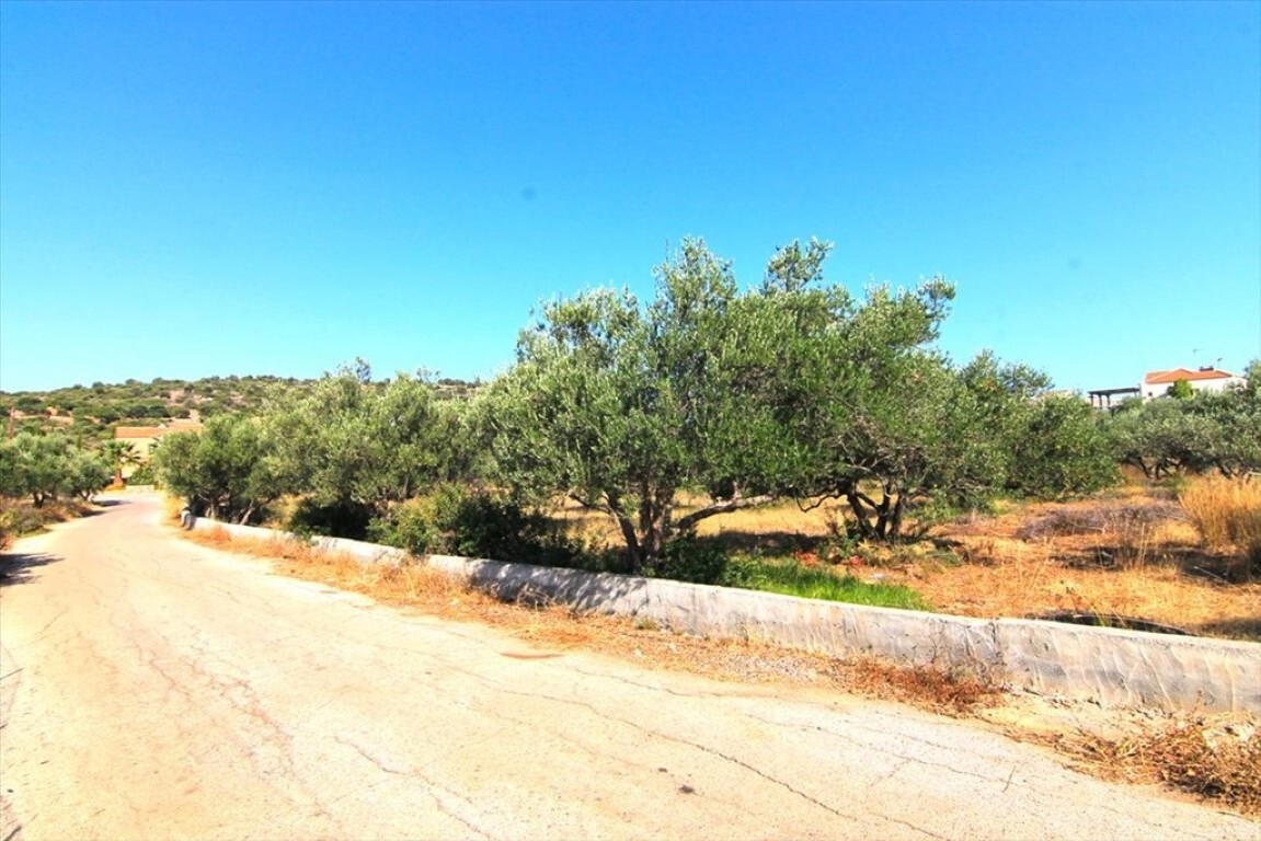 Land in Agios Nikolaos, Lasithi Prefecture, Greece – 50674