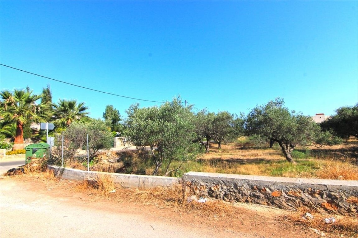 Land in Agios Nikolaos, Lasithi Prefecture, Greece – 50674