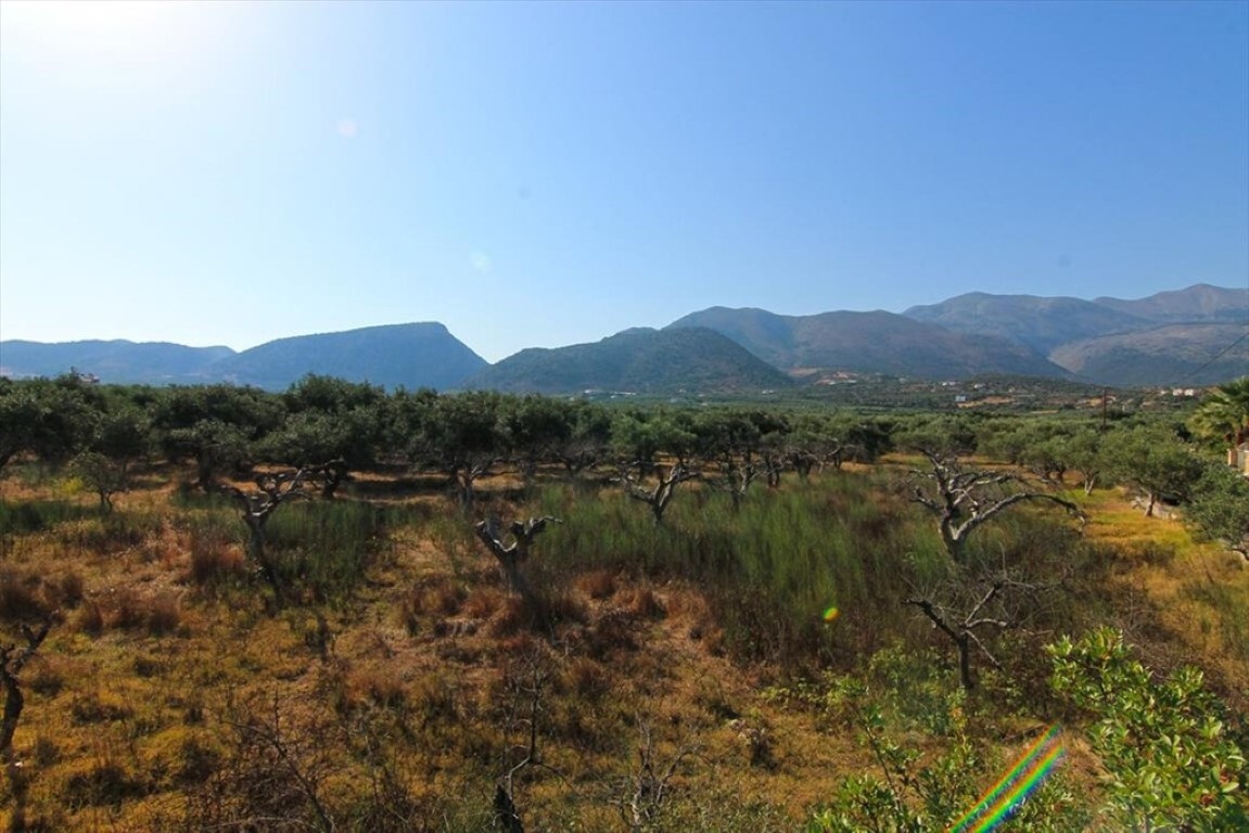 Land in Agios Nikolaos, Lasithi Prefecture, Greece – 50674