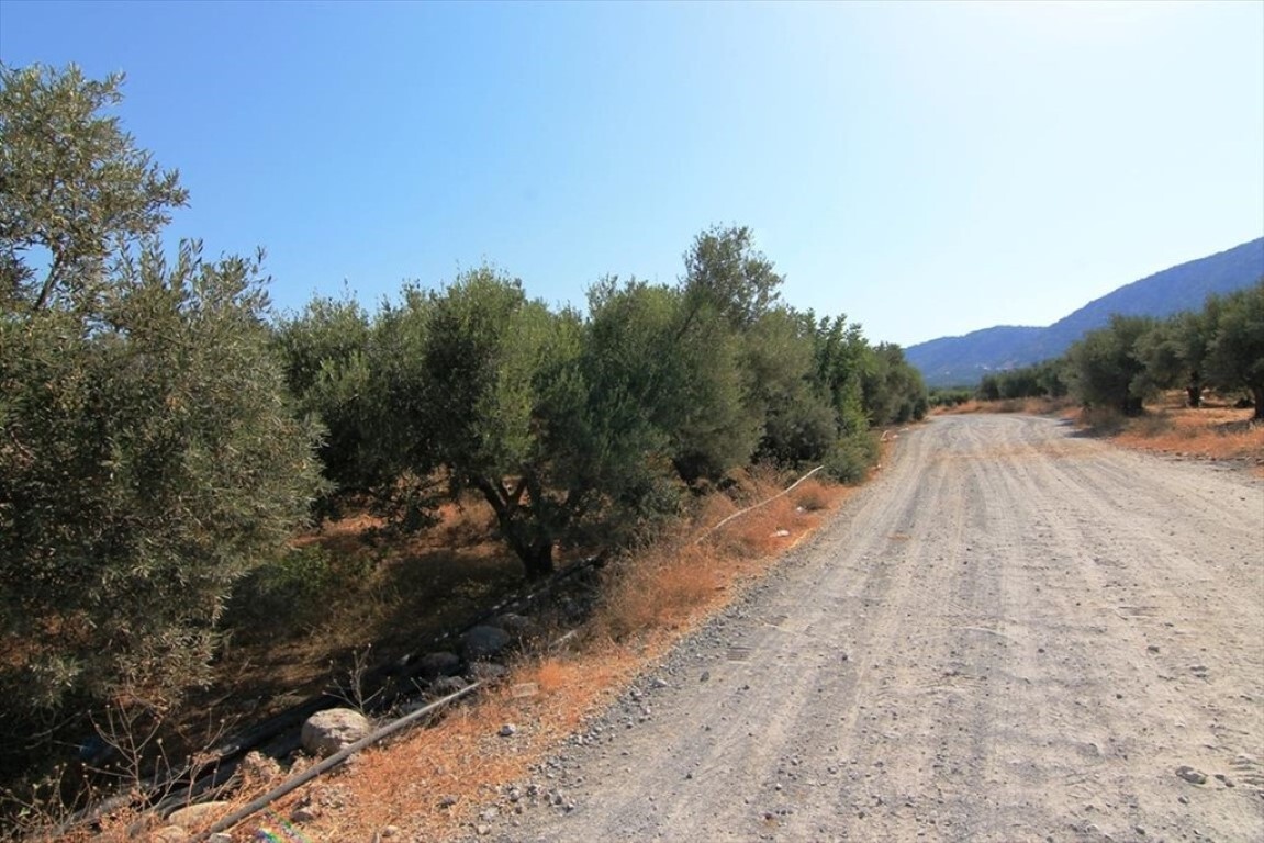 Land in Neapoli, Lasithi Prefecture, Greece – 50672