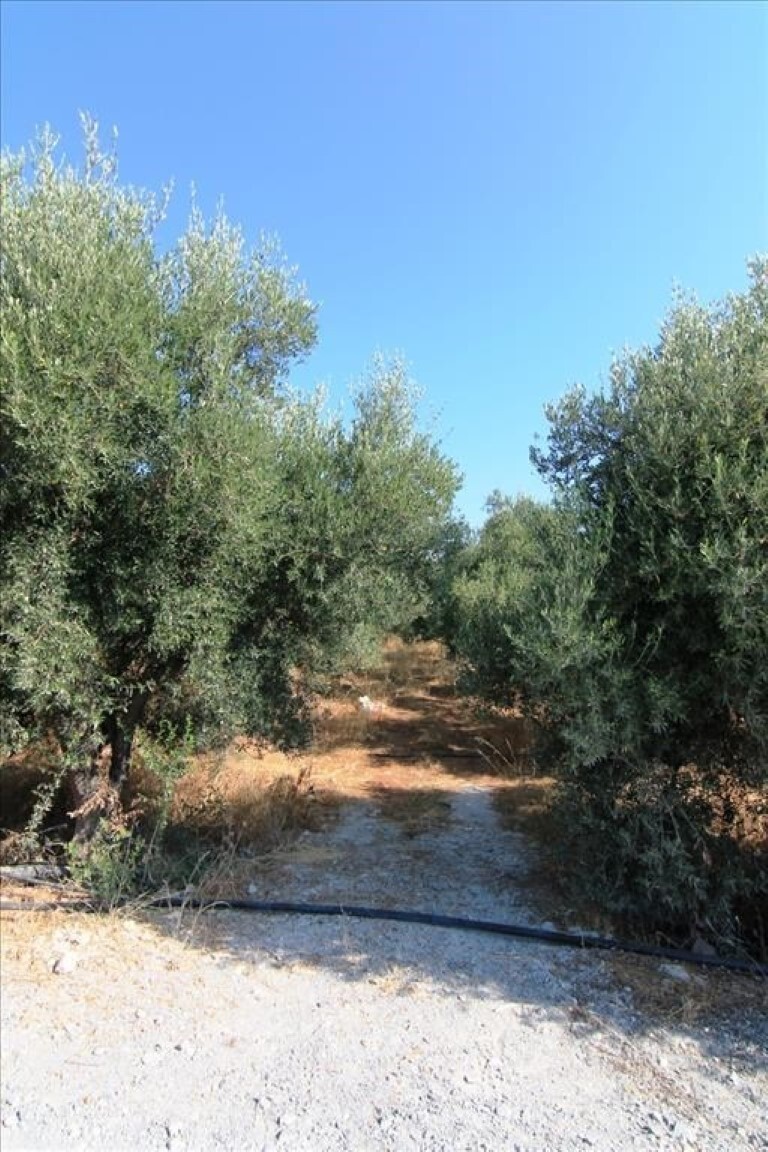 Land in Neapoli, Lasithi Prefecture, Greece – 50672